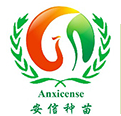 山东安信种苗股份有限公司图片0